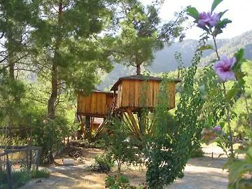 Auberge de jeunesse Rahmi's Tree Houses